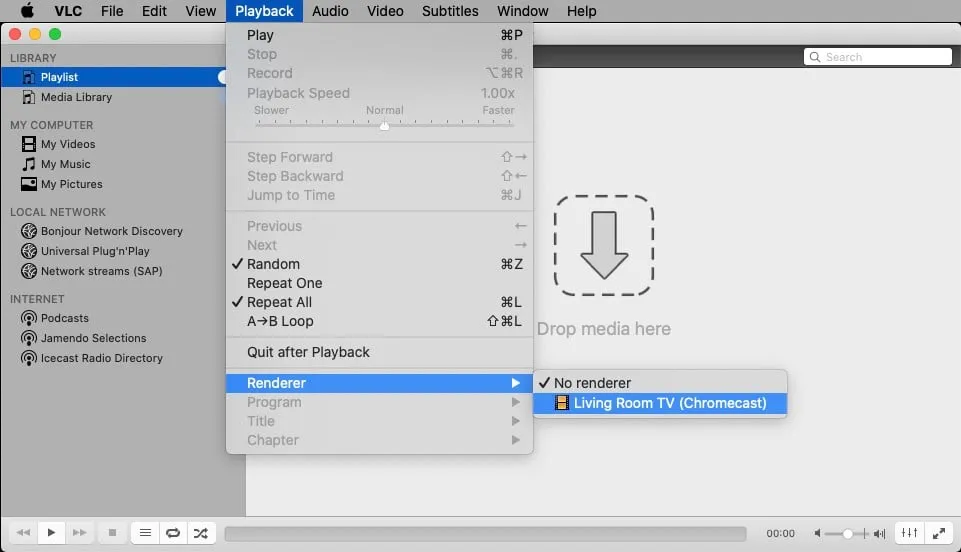 Access the Renderer Option